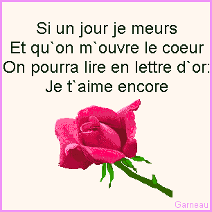 dior mon amour je t'aime