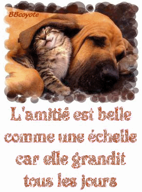 super
